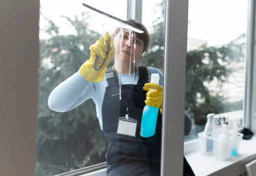 Nettoyage de vitres intérieures et extérieures à Lebetain